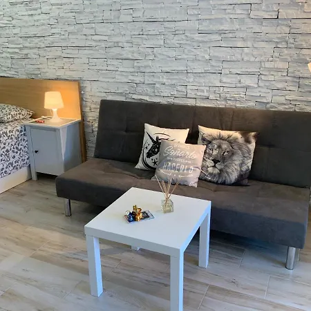 公寓 Cosmocom Apartments In Tenerife 洛斯克里斯蒂亚诺斯