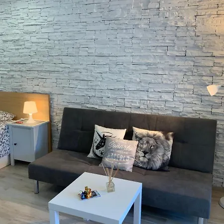 公寓 Cosmocom Apartments In Tenerife 洛斯克里斯蒂亚诺斯