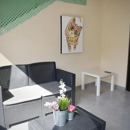 公寓 Cosmocom Apartments In Tenerife 洛斯克里斯蒂亚诺斯